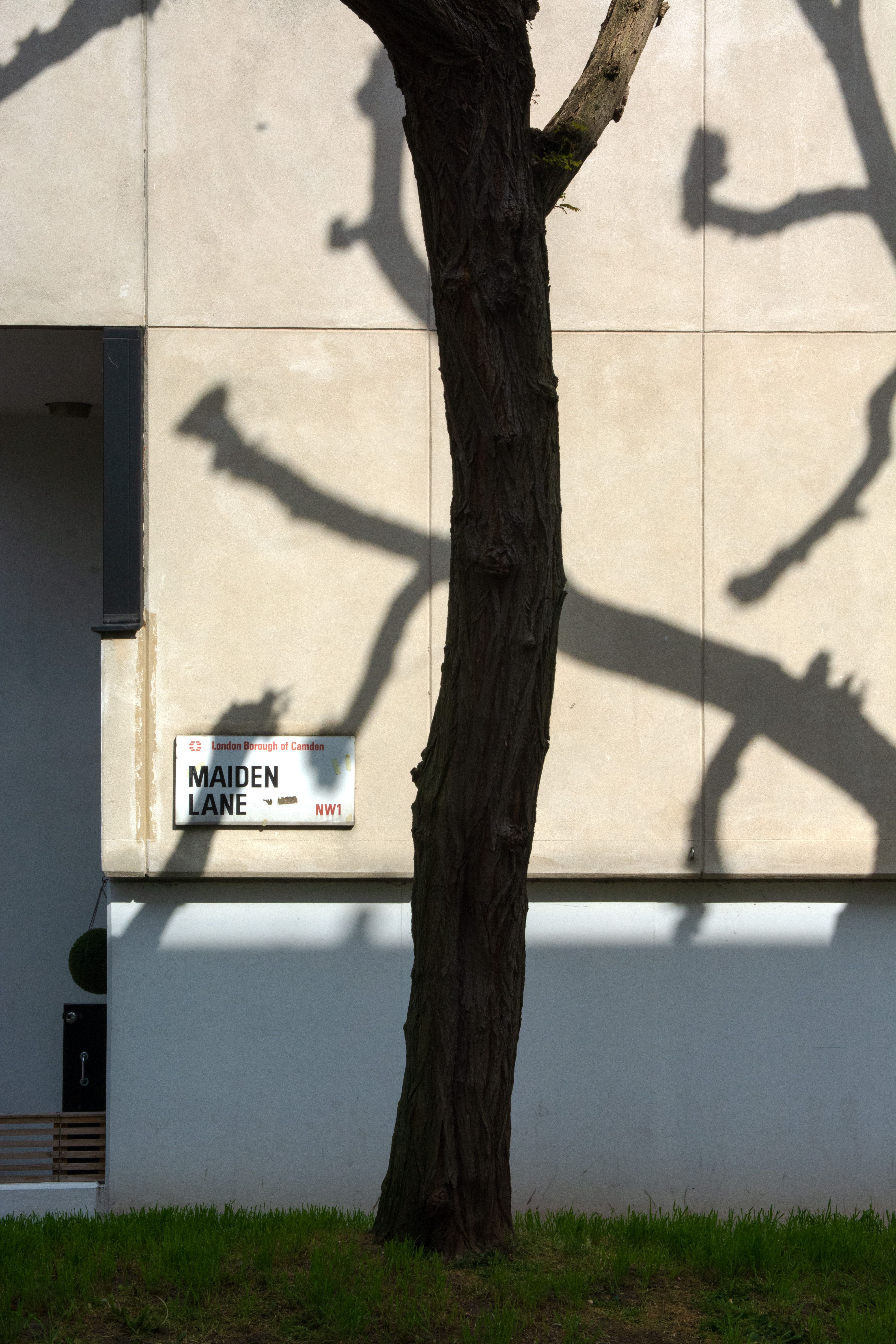 Maiden Lane Estate, photo 18 of 20